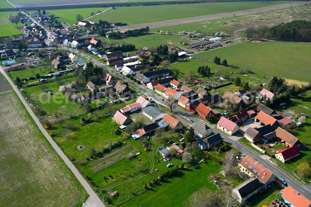Stackelitz from above - Agricultural land and field boundaries surround the settlement area of the village in Stackelitz in the state Saxony-Anhalt, Germany