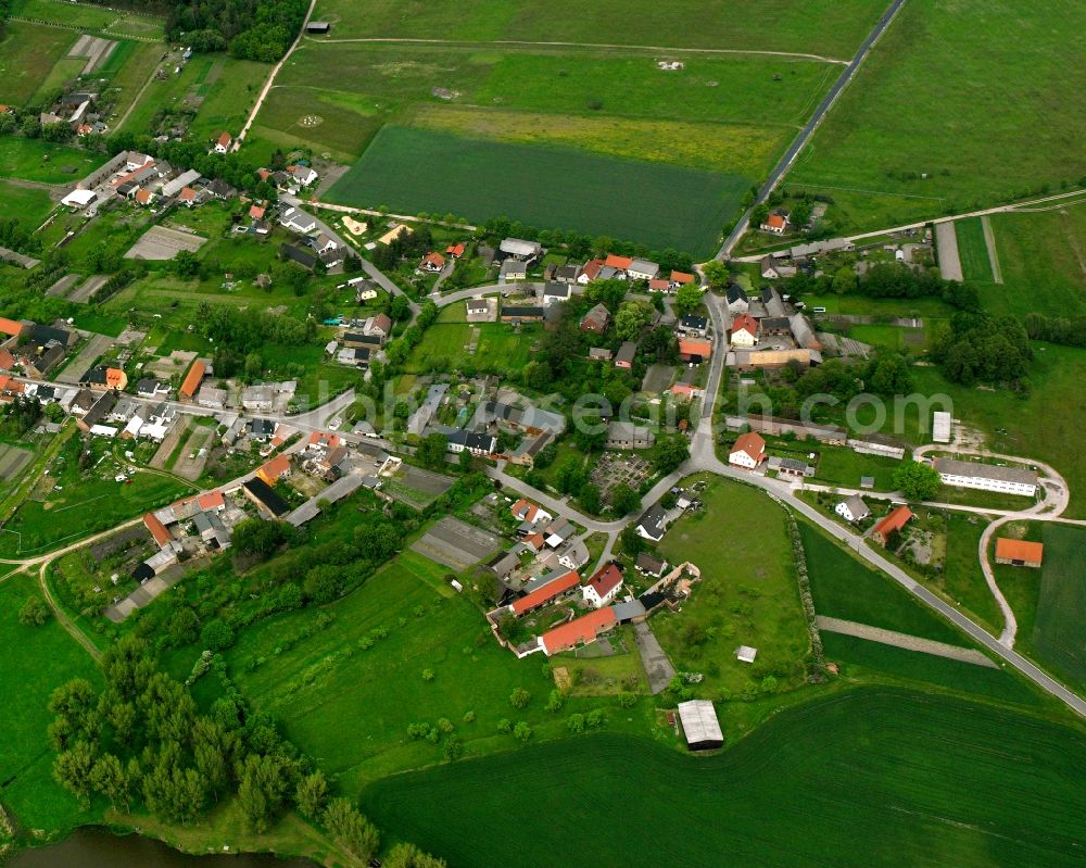 Aerial image Steckby - Agricultural land and field boundaries surround the settlement area of the village in Steckby in the state Saxony-Anhalt, Germany
