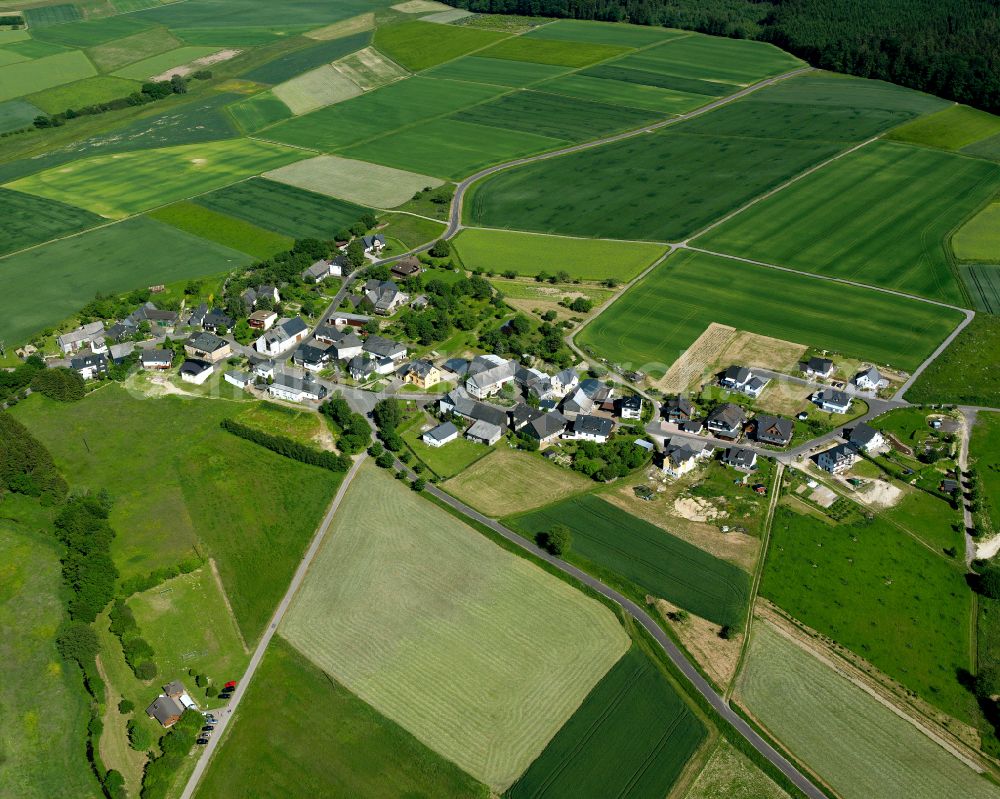 Aerial image Steinbach - Agricultural land and field boundaries surround the settlement area of the village in Steinbach in the state Rhineland-Palatinate, Germany