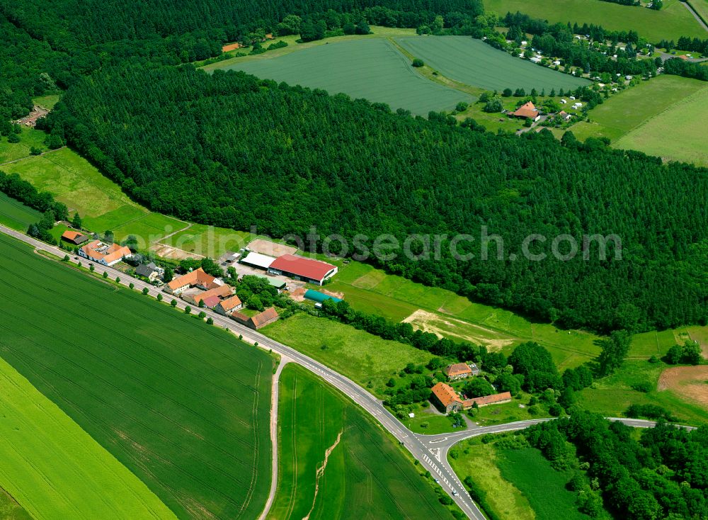Aerial photograph Steinborn - Agricultural land and field boundaries surround the settlement area of the village in Steinborn in the state Rhineland-Palatinate, Germany