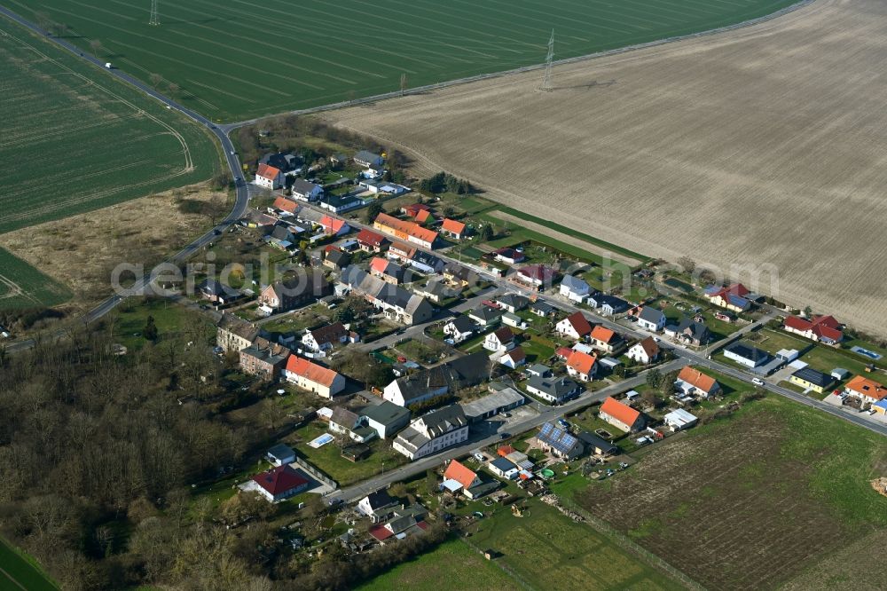 Storkwitz from above - Agricultural land and field boundaries surround the settlement area of the village in Storkwitz in the state Saxony, Germany