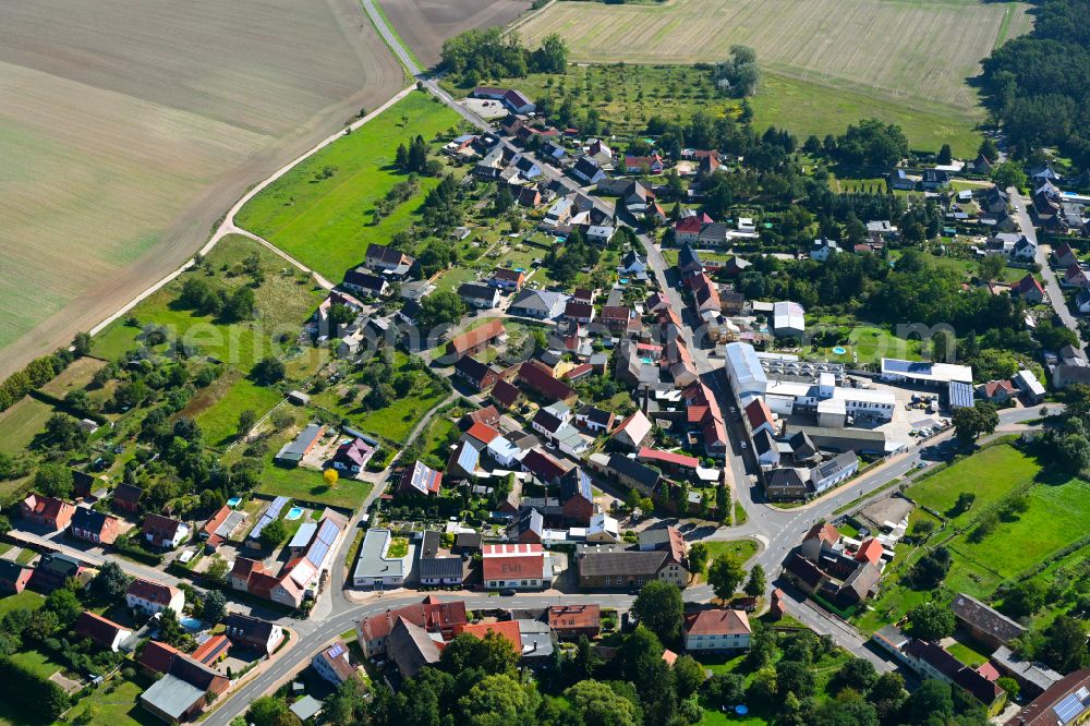 Straach from the bird's eye view: Agricultural land and field boundaries surround the settlement area of the village in Straach in the state Saxony-Anhalt, Germany