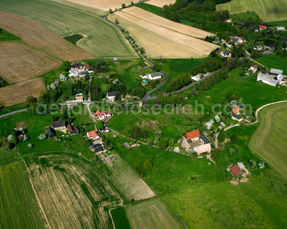 Thalheim from the bird's eye view: Agricultural land and field boundaries surround the settlement area of the village in Thalheim in the state Saxony, Germany