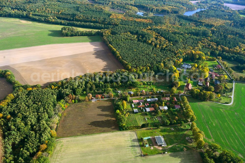 Tüschow from the bird's eye view: Agricultural land and field boundaries surround the settlement area of the village in Tueschow in the state Mecklenburg - Western Pomerania, Germany