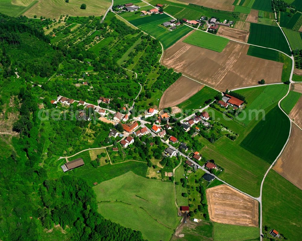 Aerial image Waldrems - Agricultural land and field boundaries surround the settlement area of the village in Waldrems in the state Baden-Wuerttemberg, Germany