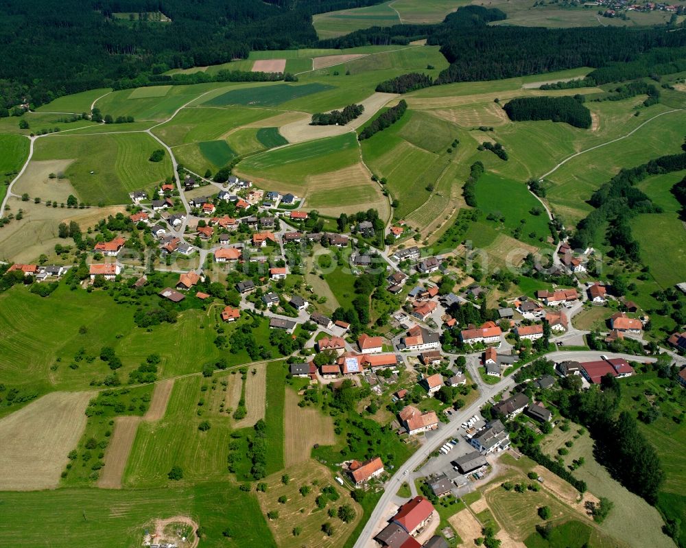 Aerial photograph Waldshut-Tiengen - Agricultural land and field boundaries surround the settlement area of the village in Waldshut-Tiengen in the state Baden-Wuerttemberg, Germany