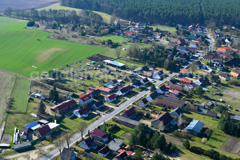 Aerial image Wallitz - Agricultural land and field boundaries surround the settlement area of the village in Wallitz in the state Brandenburg, Germany