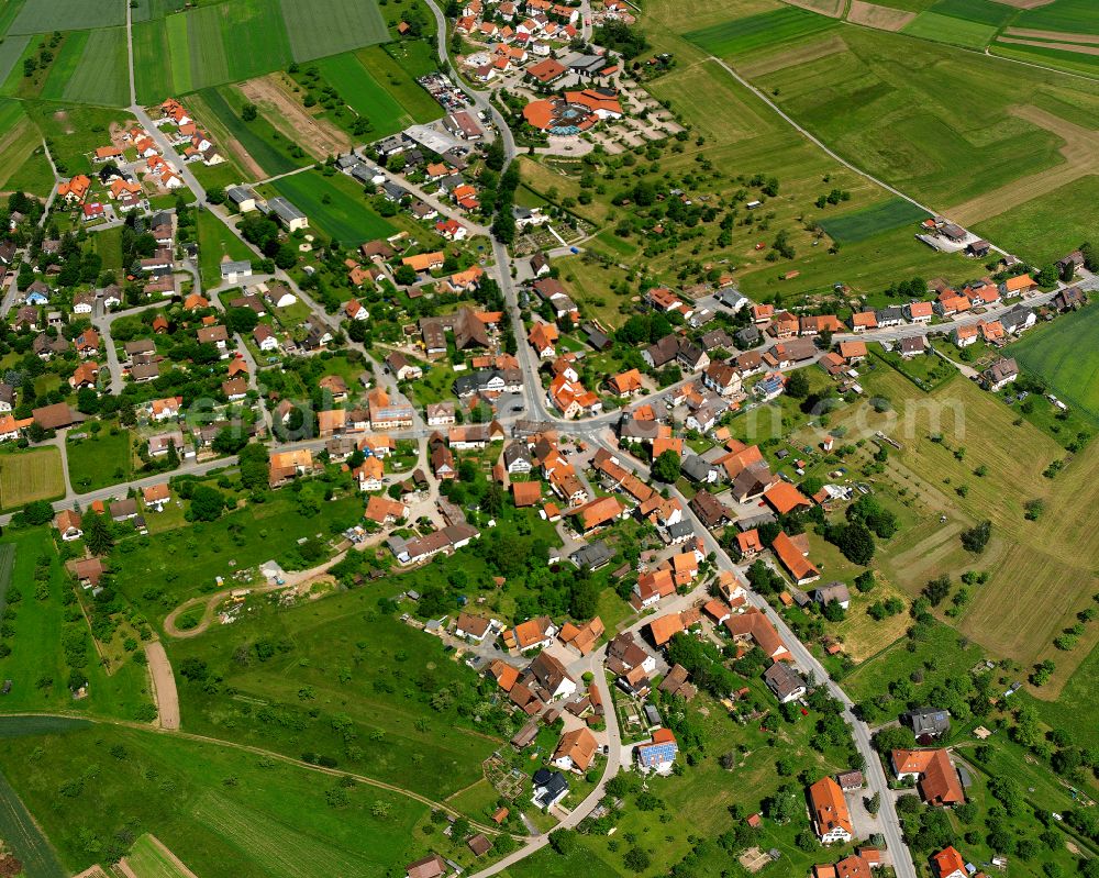 Aerial photograph Wart - Agricultural land and field boundaries surround the settlement area of the village in Wart in the state Baden-Wuerttemberg, Germany