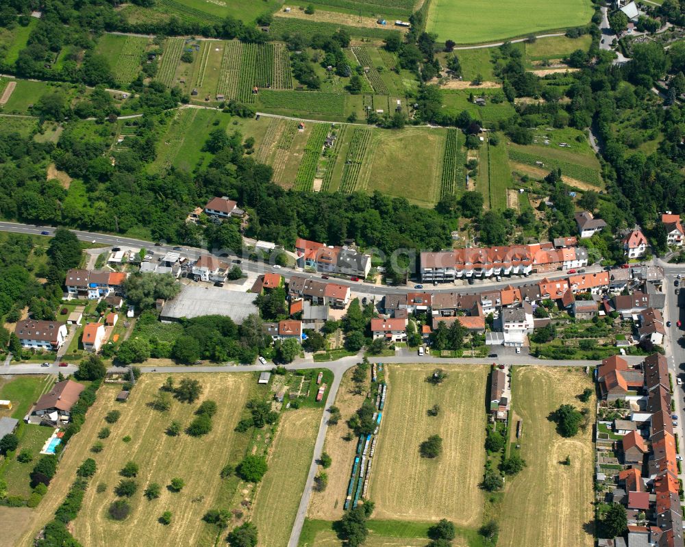Aerial photograph Weingarten (Baden) - Agricultural land and field boundaries surround the settlement area of the village in Weingarten (Baden) in the state Baden-Wuerttemberg, Germany
