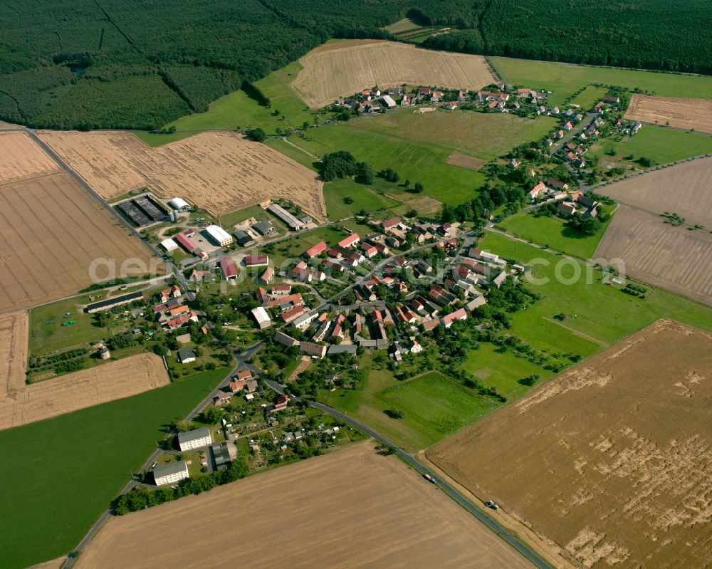 Weißig am Raschütz from the bird's eye view: Agricultural land and field boundaries surround the settlement area of the village in Weißig am Raschütz in the state Saxony, Germany