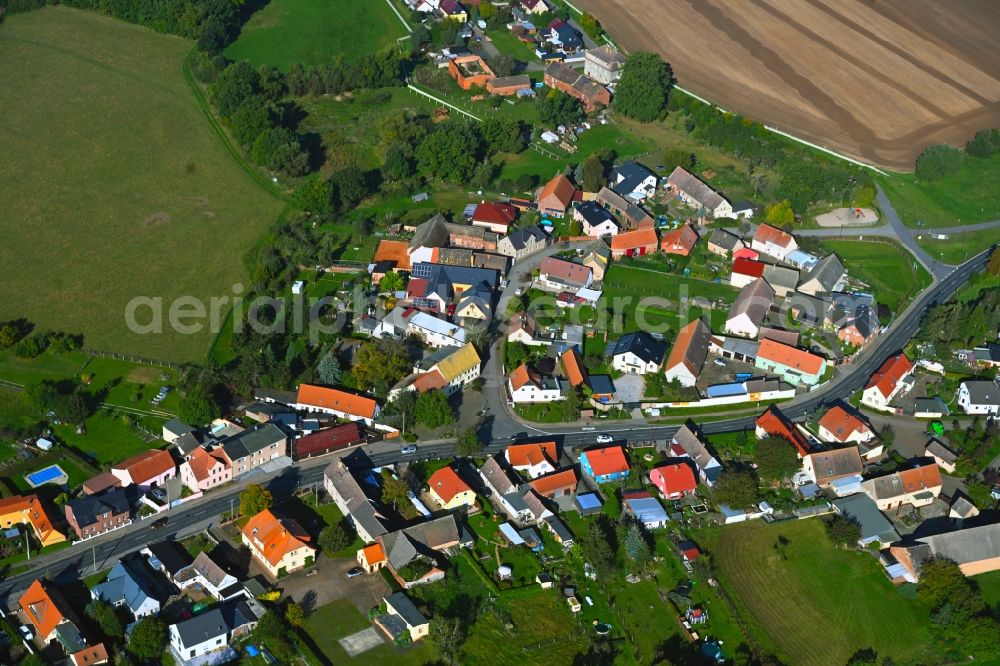 Aerial image Wellaune - Agricultural land and field boundaries surround the settlement area of the village in Wellaune in the state Saxony, Germany