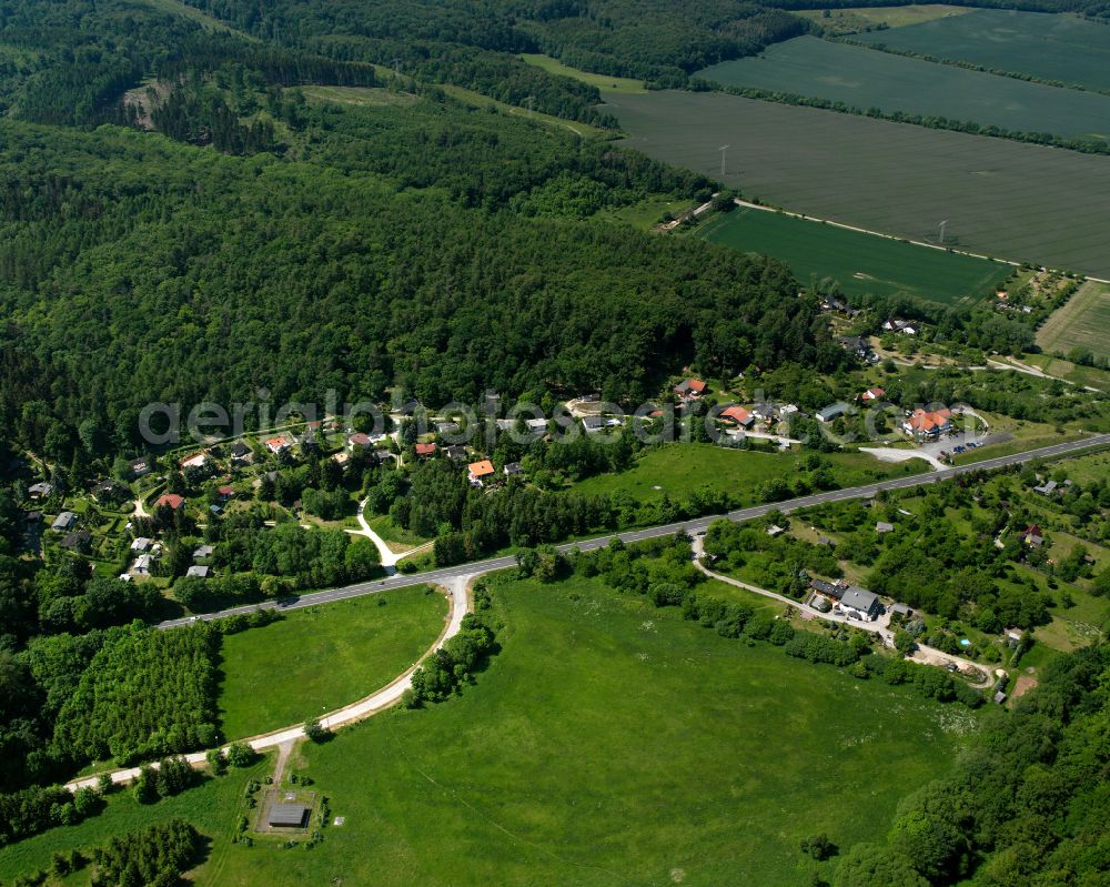 Wienrode from above - Agricultural land and field boundaries surround the settlement area of the village in Wienrode in the state Saxony-Anhalt, Germany