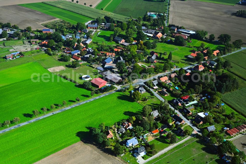 Aerial photograph Wietzetze - Agricultural land and field boundaries surround the settlement area of the village in Wietzetze in the state Lower Saxony, Germany