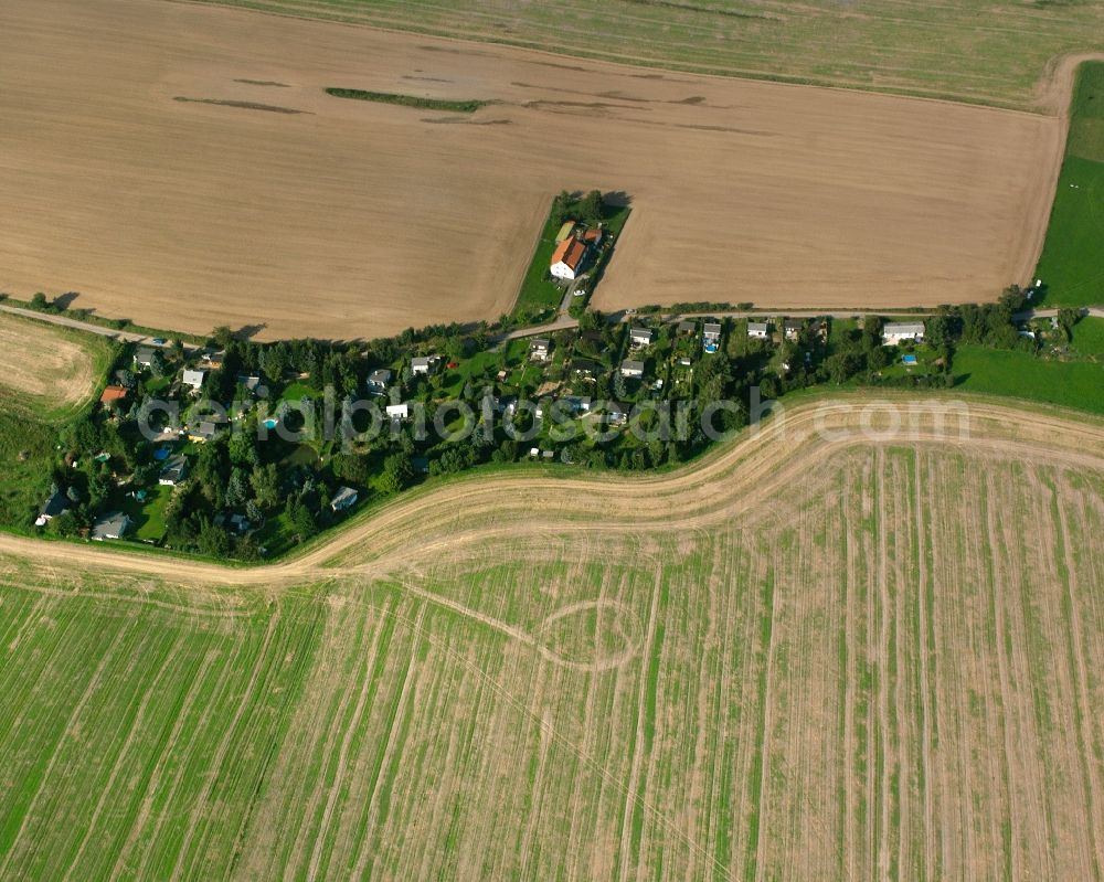 Wingendorf from the bird's eye view: Agricultural land and field boundaries surround the settlement area of the village in Wingendorf in the state Saxony, Germany