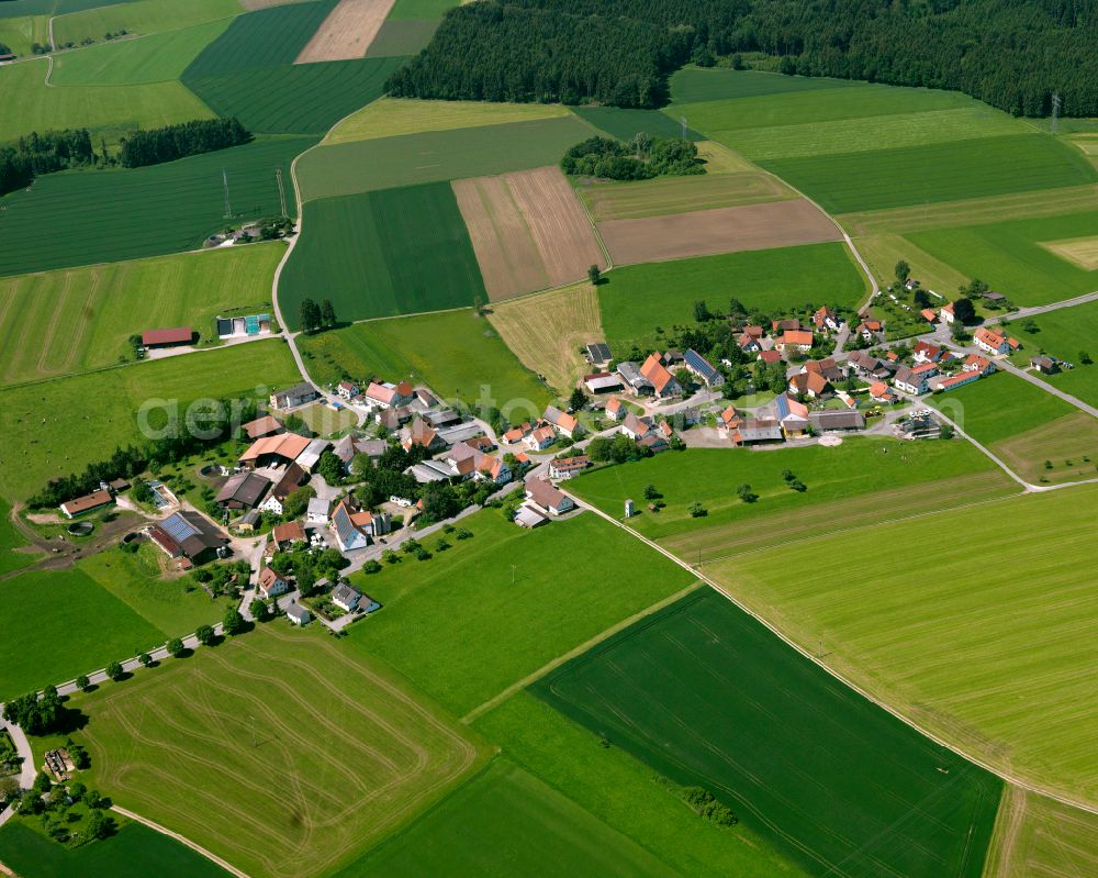 Winterreute from the bird's eye view: Agricultural land and field boundaries surround the settlement area of the village in Winterreute in the state Baden-Wuerttemberg, Germany