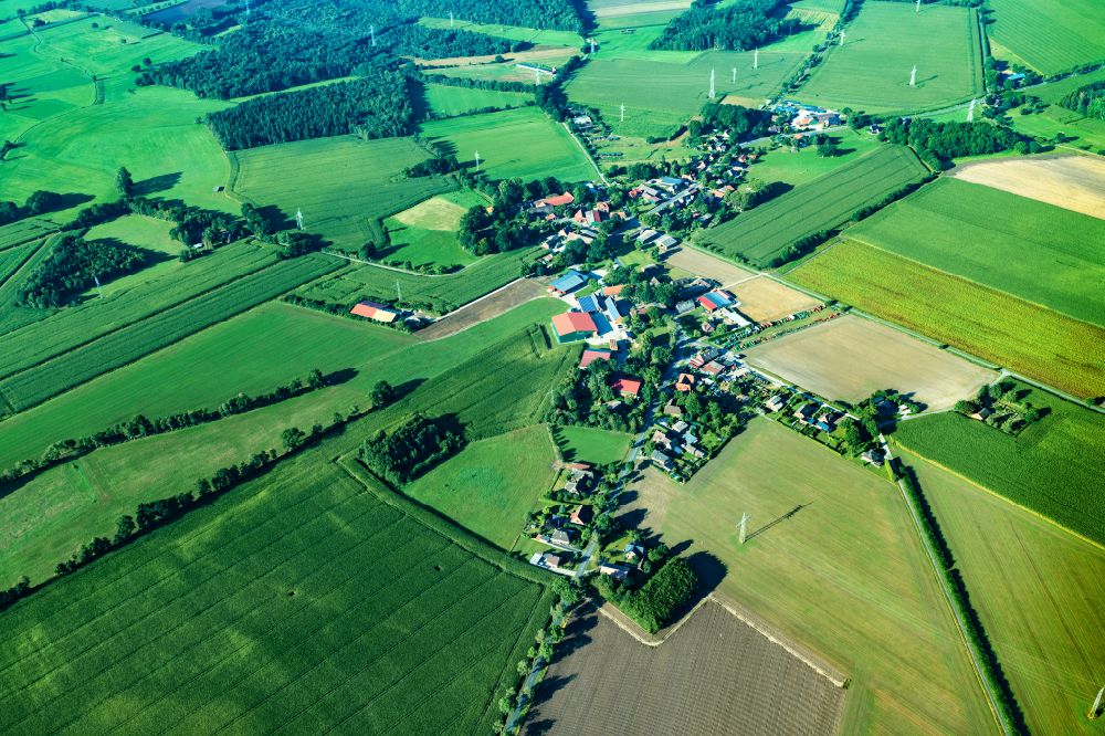 Aerial image Wohlerst - Agricultural land and field boundaries surround the settlement area of the village in Wohlerst in the state Lower Saxony, Germany