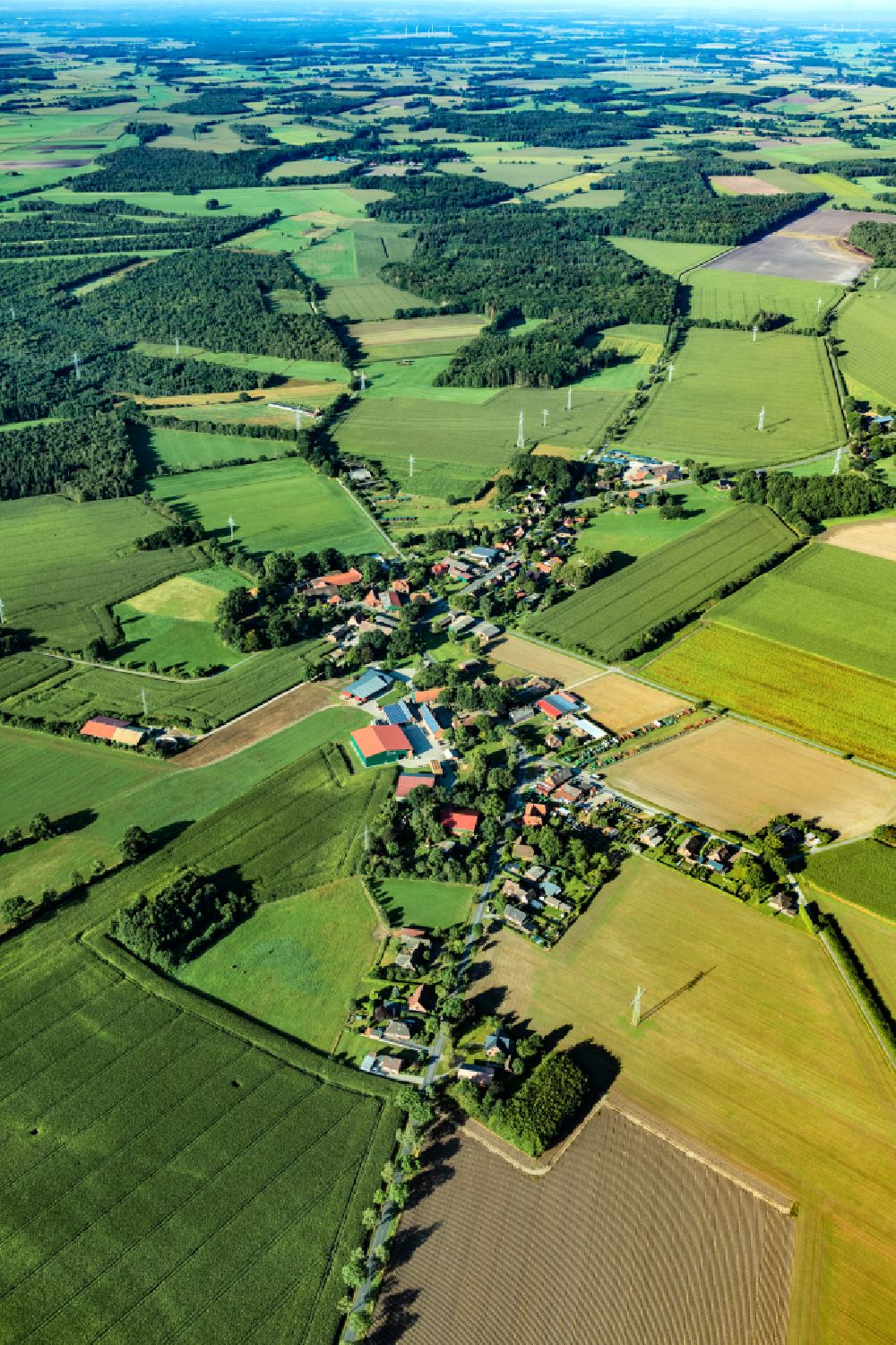 Aerial photograph Wohlerst - Agricultural land and field boundaries surround the settlement area of the village in Wohlerst in the state Lower Saxony, Germany