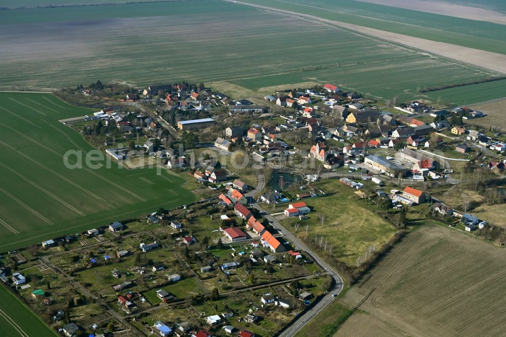 Zaasch from the bird's eye view: Agricultural land and field boundaries surround the settlement area of the village in Zaasch in the state Saxony, Germany
