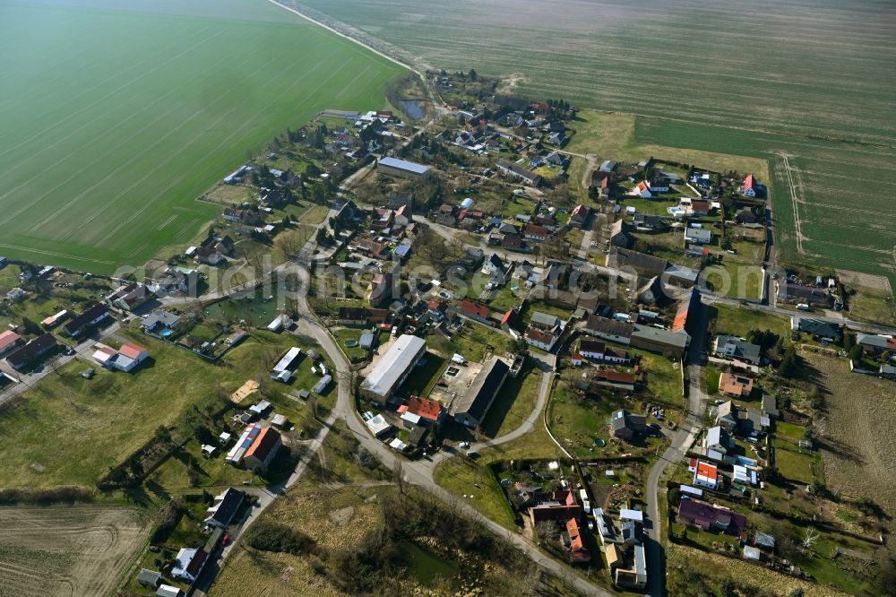Aerial image Zaasch - Agricultural land and field boundaries surround the settlement area of the village in Zaasch in the state Saxony, Germany