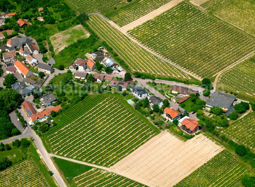Zell from the bird's eye view: Agricultural land and field boundaries surround the settlement area of the village in Zell in the state Rhineland-Palatinate, Germany