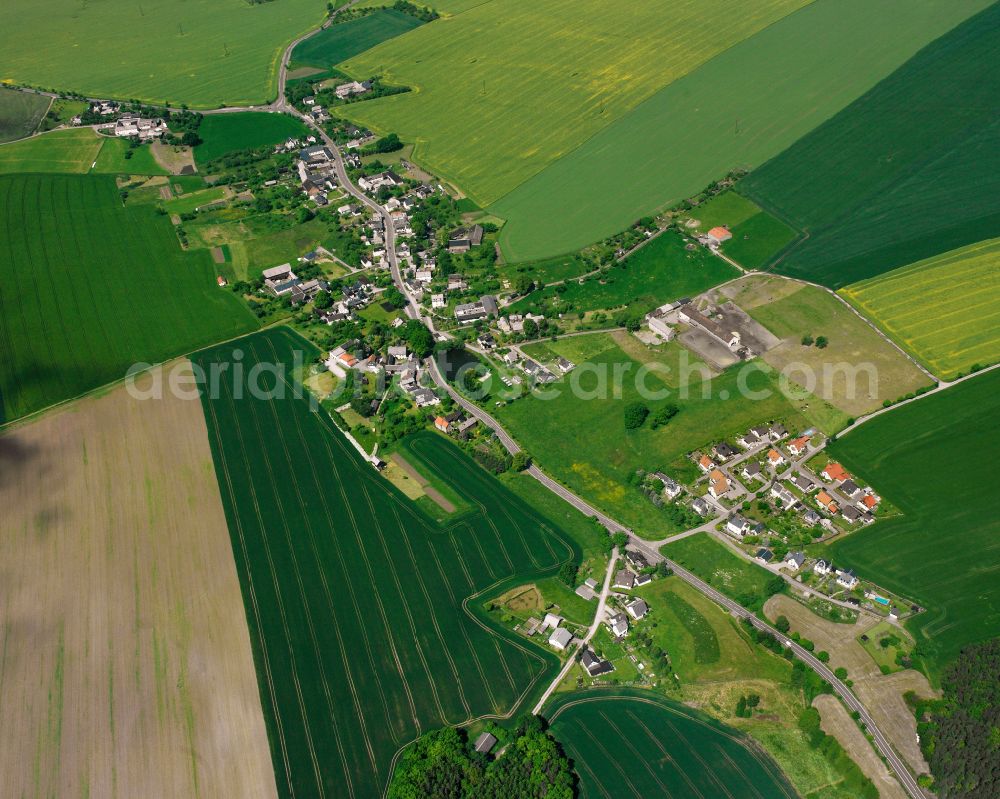 Aerial image Zoghaus - Agricultural land and field boundaries surround the settlement area of the village in Zoghaus in the state Thuringia, Germany