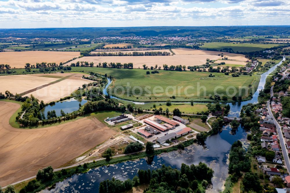 Schiffmühle from the bird's eye view: Village on the river bank areas Alte Oder in Neutornow in the state Brandenburg, Germany