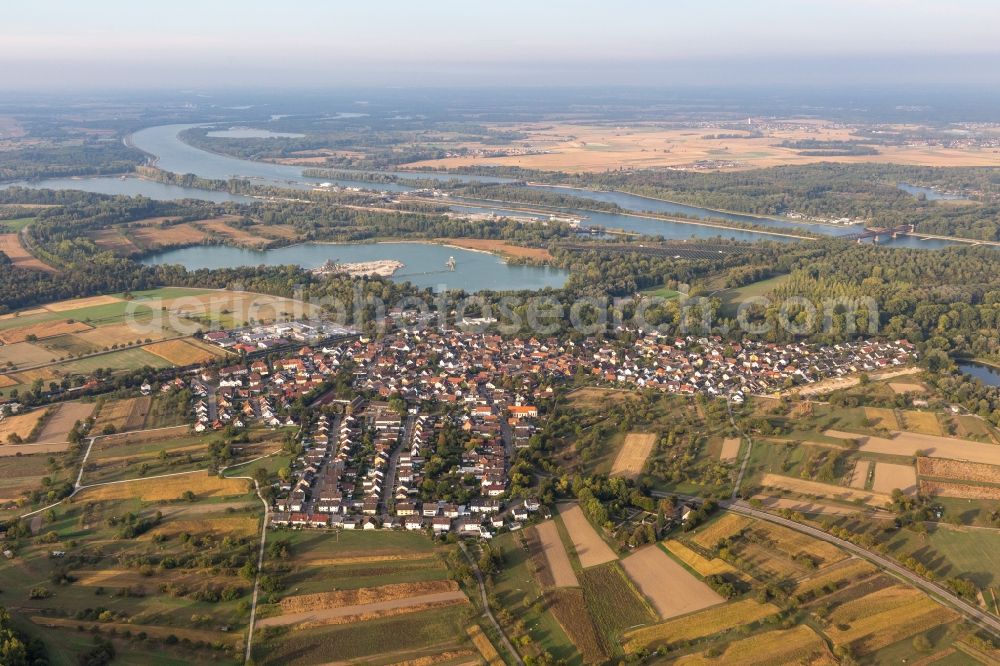 Aerial photograph Wintersdorf - Village on the river bank areas of the Rhine river in Wintersdorf in the state Baden-Wuerttemberg, Germany