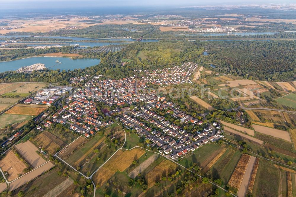 Wintersdorf from above - Village on the river bank areas of the Rhine river in Wintersdorf in the state Baden-Wuerttemberg, Germany