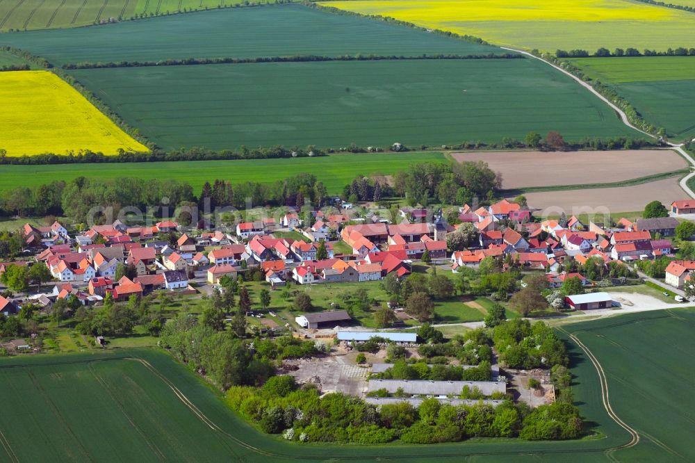 Aerial photograph Freienbessingen - Agricultural land and field borders surround the settlement area of the village in Freienbessingen in the state Thuringia, Germany