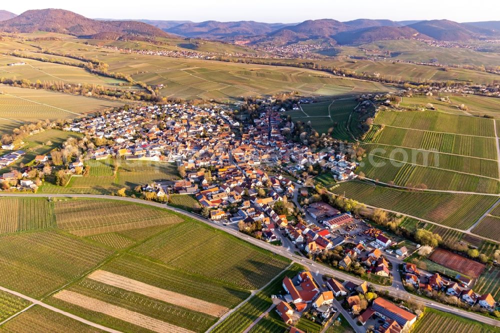 Ilbesheim bei Landau in der Pfalz from the bird's eye view: Agricultural land and field borders surround the settlement area in spring of the village in Ilbesheim bei Landau in der Pfalz in the state Rhineland-Palatinate, Germany
