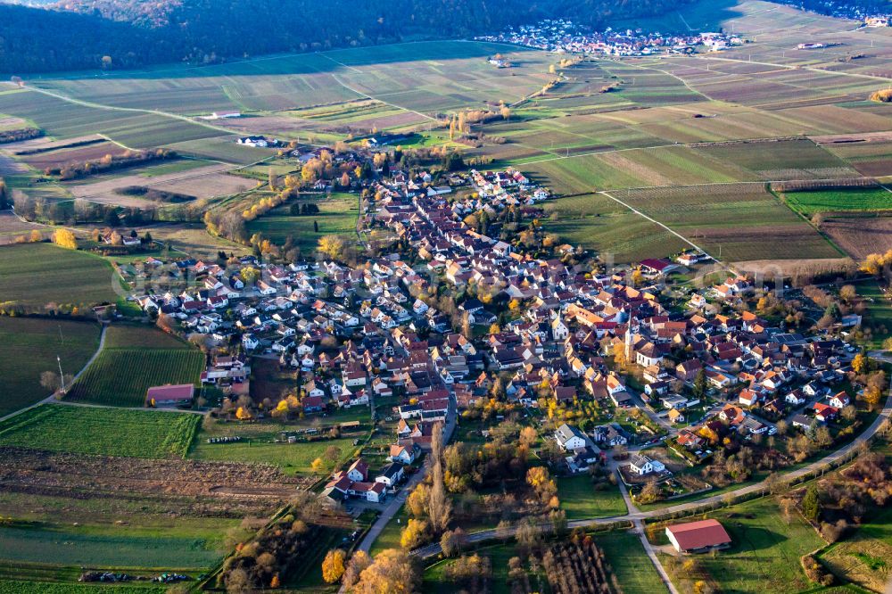 Aerial image Göcklingen - Agricultural land and field borders surround the settlement area of the village in Goecklingen in the state Rhineland-Palatinate, Germany