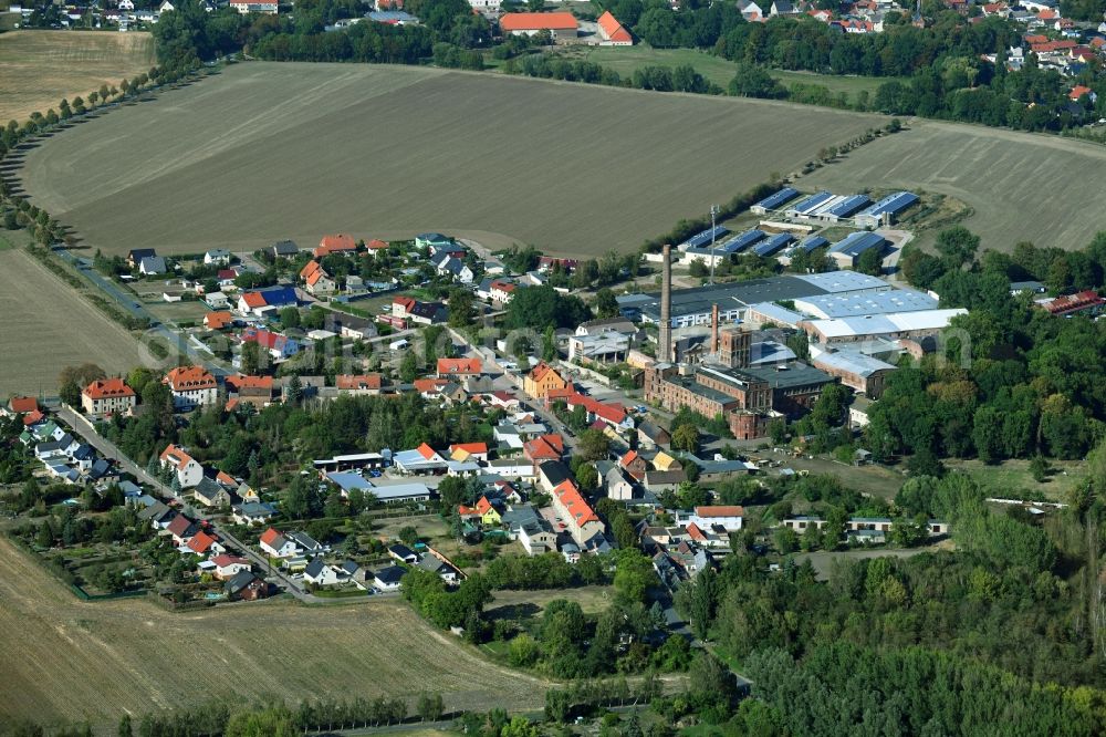 Glauzig from above - Agricultural land and field borders surround the settlement area of the village in Glauzig in the state Saxony-Anhalt, Germany