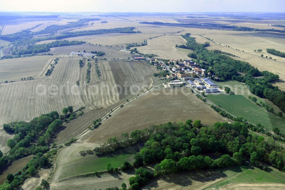 Größnitz from the bird's eye view: Agricultural land and field borders surround the settlement area of the village in Groessnitz in the state Saxony-Anhalt, Germany