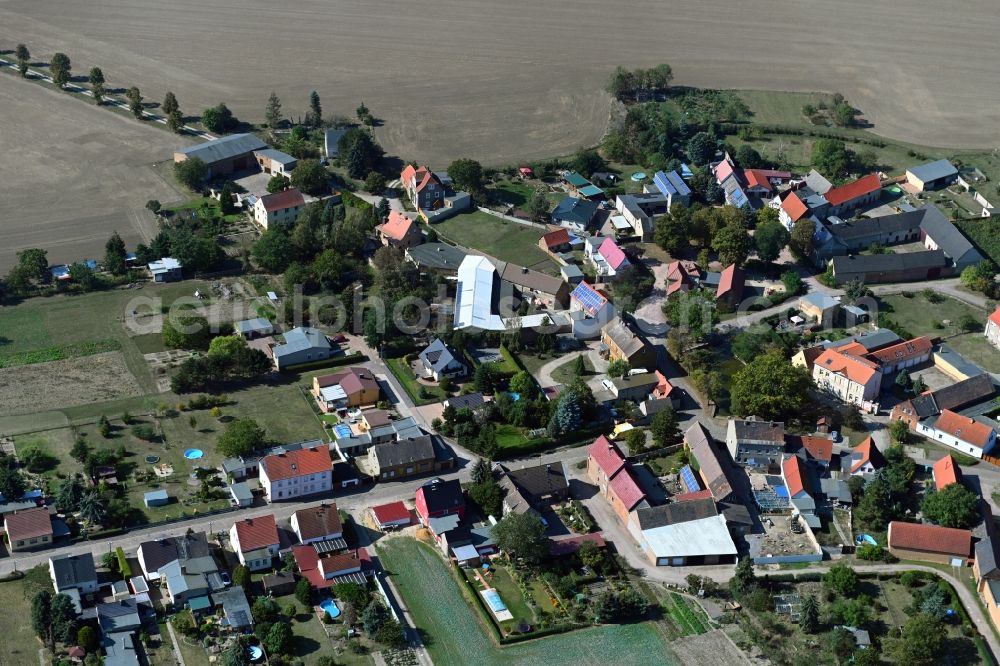 Heideloh from the bird's eye view: Agricultural land and field borders surround the settlement area of the village in Heideloh in the state Saxony-Anhalt, Germany