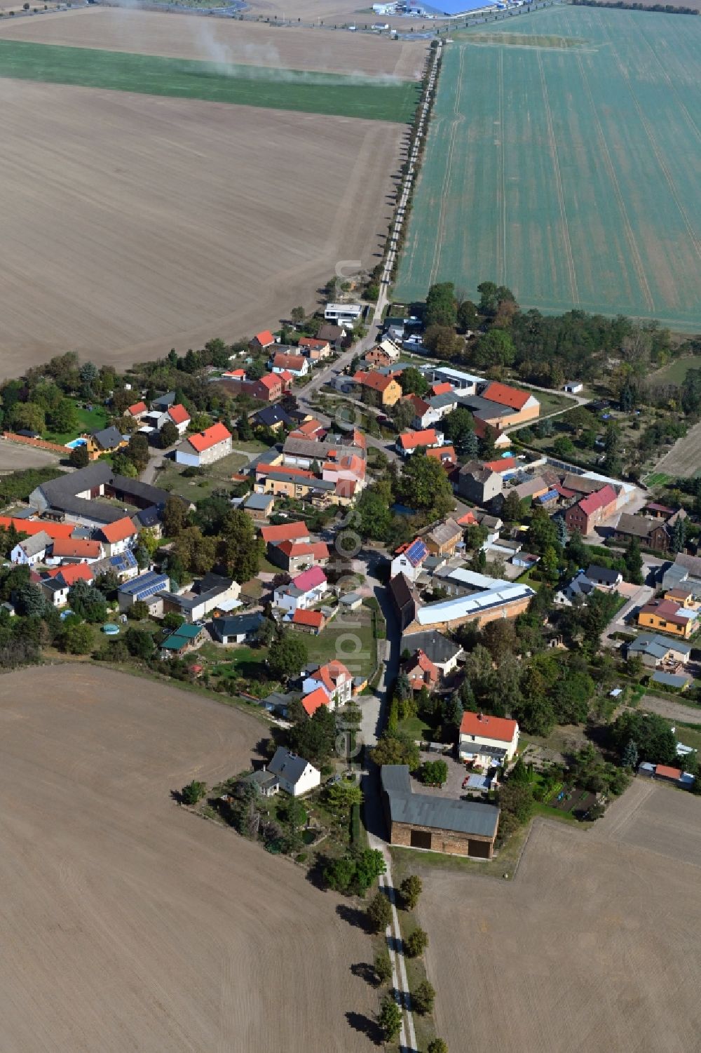 Heideloh from the bird's eye view: Agricultural land and field borders surround the settlement area of the village in Heideloh in the state Saxony-Anhalt, Germany