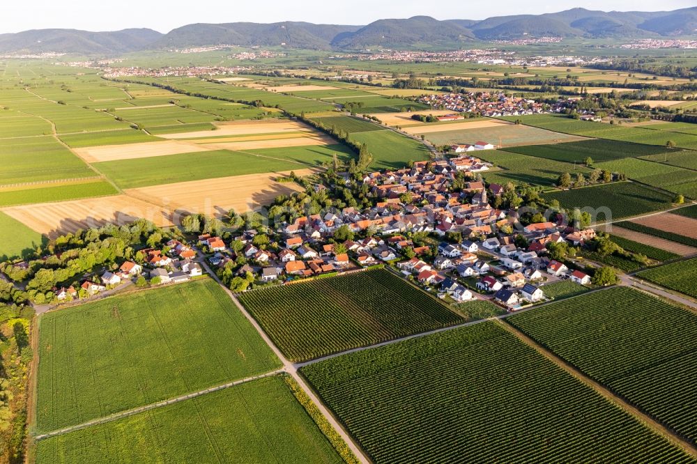 Kleinfischlingen from the bird's eye view: Agricultural land and field borders surround the settlement area of the village in Kleinfischlingen in the state Rhineland-Palatinate, Germany