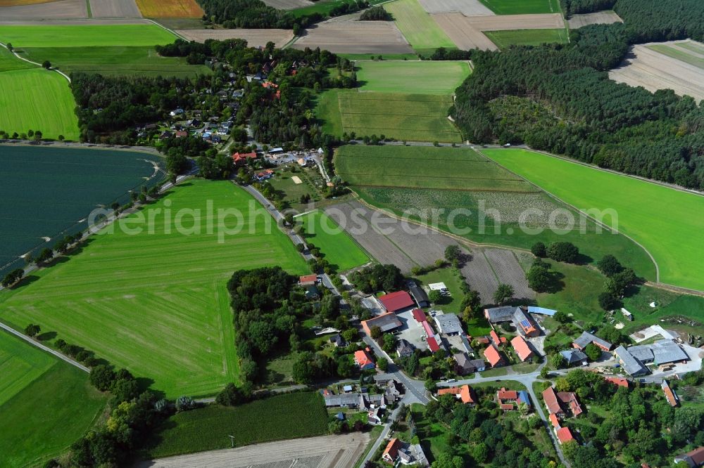 Kleinwitzeetze from above - Agricultural land and field borders surround the settlement area of the village in Kleinwitzeetze in the state Lower Saxony, Germany