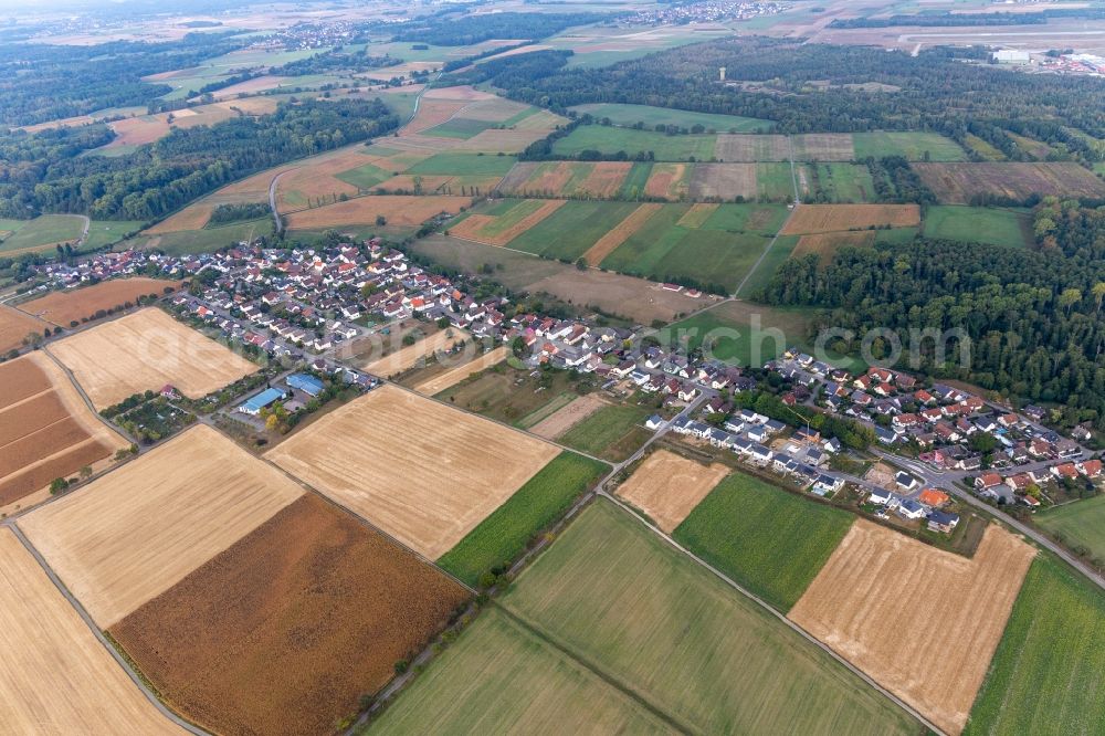Aerial photograph Leiberstung - Agricultural land and field borders surround the settlement area of the village in Leiberstung in the state Baden-Wuerttemberg, Germany
