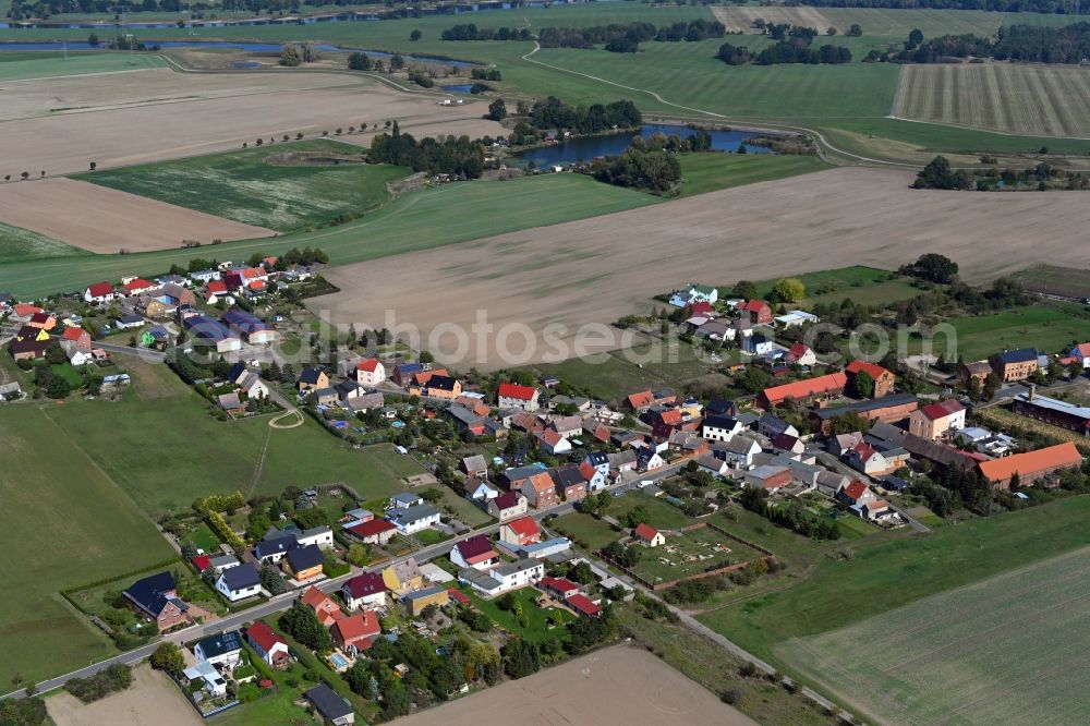 Aerial image Melzwig - Agricultural land and field borders surround the settlement area of the village in Melzwig in the state Saxony-Anhalt, Germany