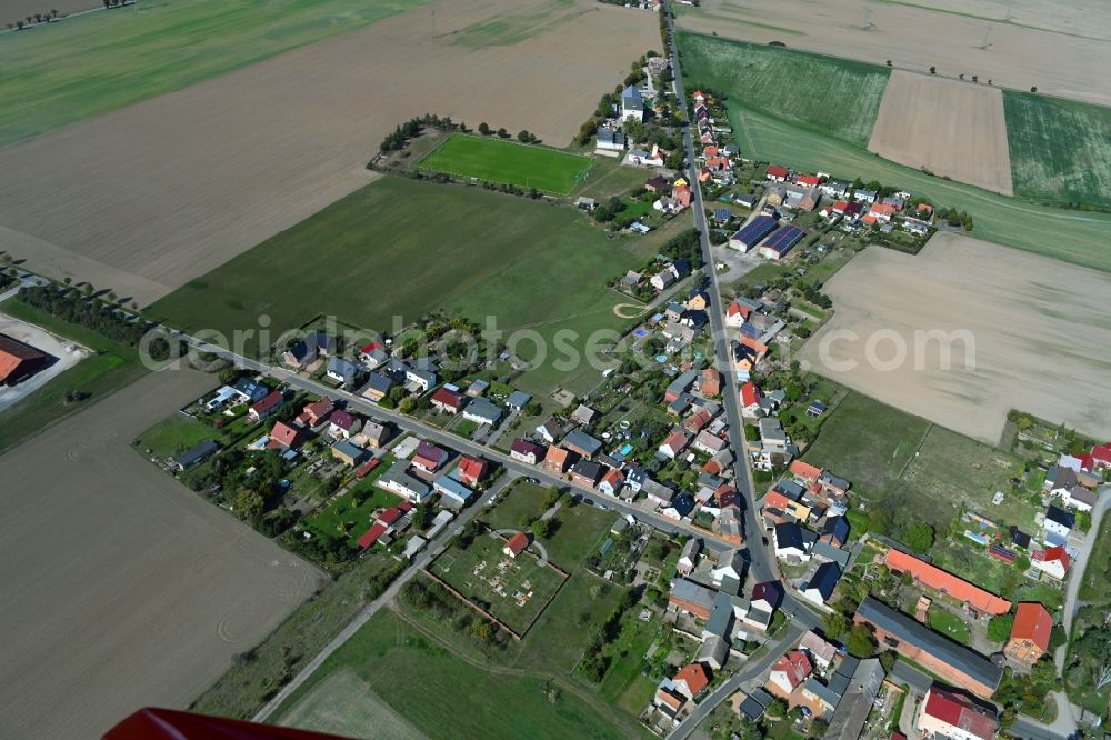 Melzwig from above - Agricultural land and field borders surround the settlement area of the village in Melzwig in the state Saxony-Anhalt, Germany