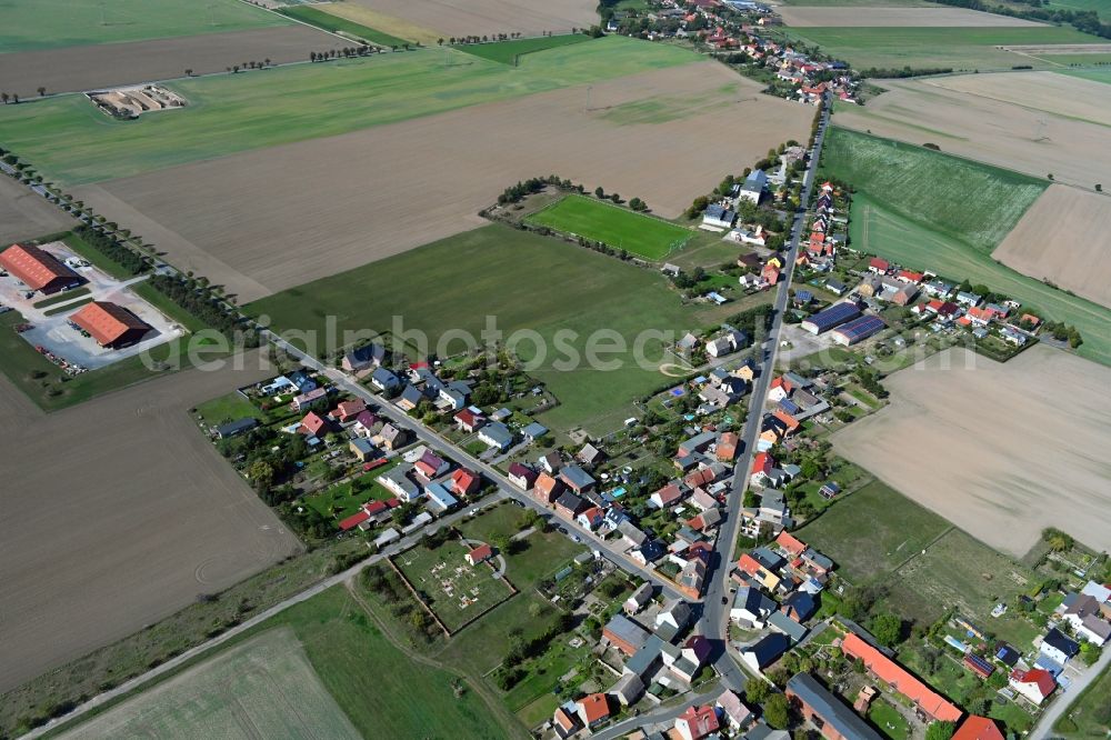 Melzwig from the bird's eye view: Agricultural land and field borders surround the settlement area of the village in Melzwig in the state Saxony-Anhalt, Germany