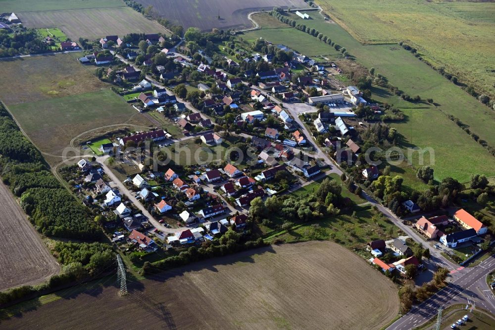 Aerial photograph Mose - Agricultural land and field borders surround the settlement area of the village in Mose in the state Saxony-Anhalt, Germany
