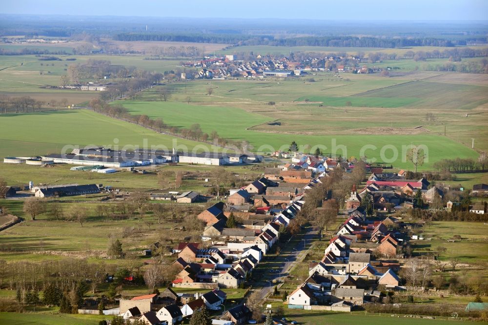 Neulögow from the bird's eye view: Agricultural land and field borders surround the settlement area of the village in Neuloegow in the state Brandenburg, Germany
