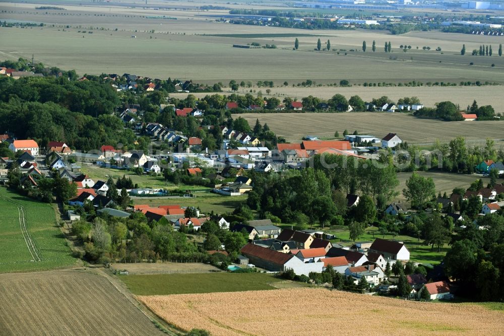 Aerial image Oppin - Agricultural land and field borders surround the settlement area of the village in Oppin in the state Saxony-Anhalt, Germany