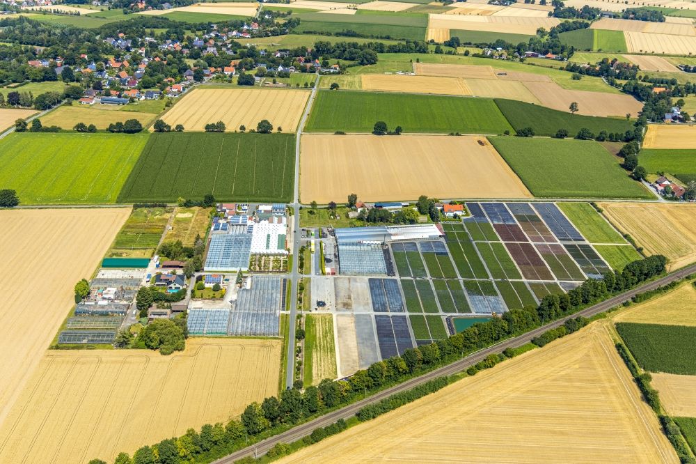 Soest from the bird's eye view: Agricultural land and field borders with bed plants and beds for floriculture at Hottenknapp surround the settlement area of the village in the district Hattrop in Soest in the state North Rhine-Westphalia, Germany