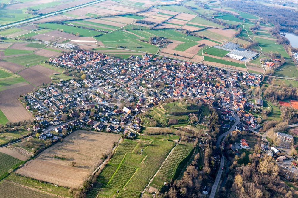 Aerial image Teningen - Agricultural land and field borders surround the settlement area of the village in the district Nimburg in Teningen in the state Baden-Wurttemberg, Germany