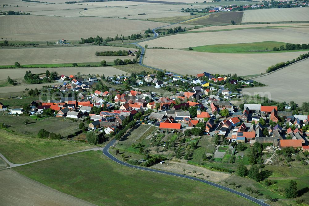 Aerial photograph Selbitz - Agricultural land and field boundaries with the power plants surround the settlement area of the village on street Dorfstrasse in Selbitz in the state Saxony-Anhalt, Germany