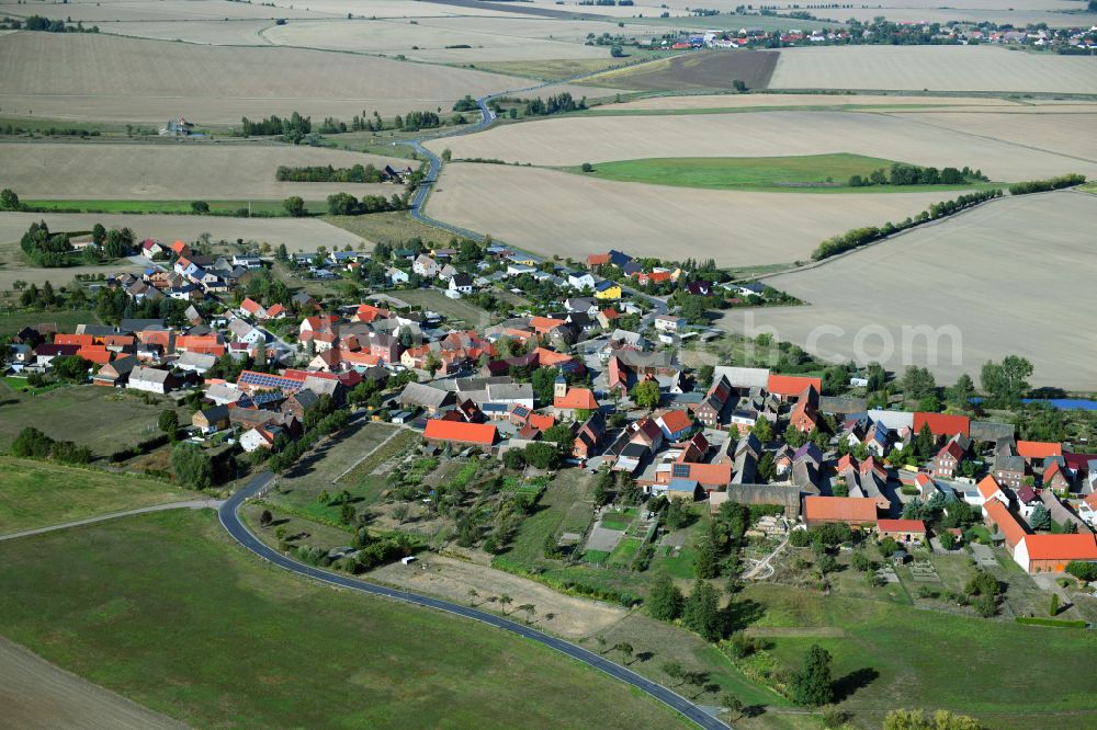 Selbitz from above - Agricultural land and field boundaries with the power plants surround the settlement area of the village on street Dorfstrasse in Selbitz in the state Saxony-Anhalt, Germany