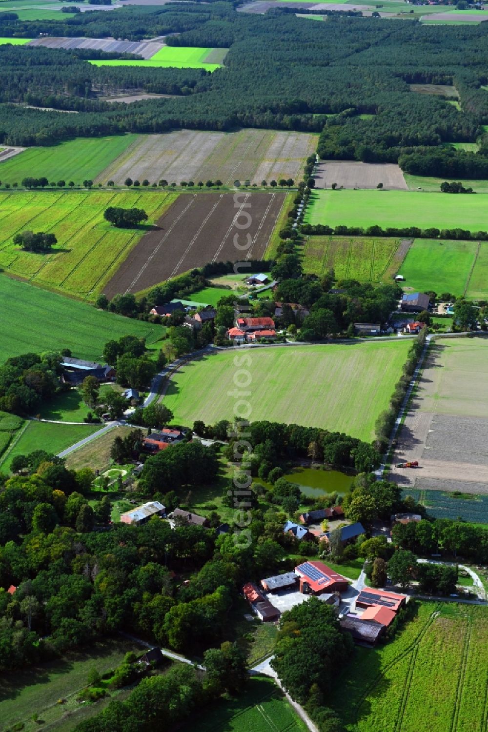 Aerial photograph Reddereitz - Agricultural land and field borders surround the settlement area of the village in Reddereitz in the state Lower Saxony, Germany