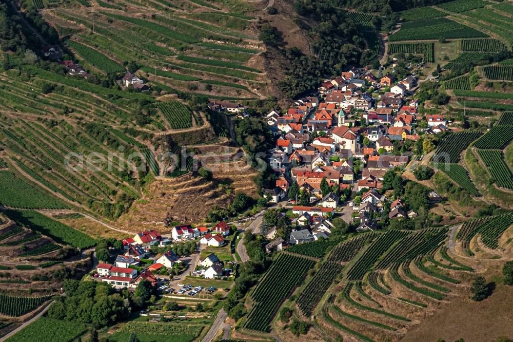 Schelingen from the bird's eye view: Agricultural land and field borders surround the settlement area of the village in Schelingen in the state Baden-Wurttemberg, Germany